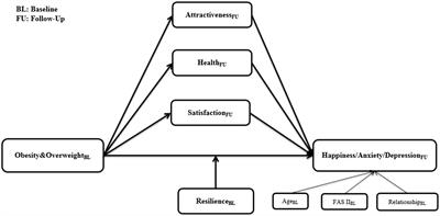 Obesity and Mental Health: A Longitudinal, Cross-Cultural Examination in Germany and China